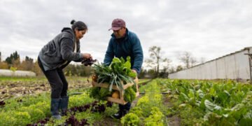 New Zealand Farm Worker Jobs 2026 – High Demand, Visa Options, and Salary Guide